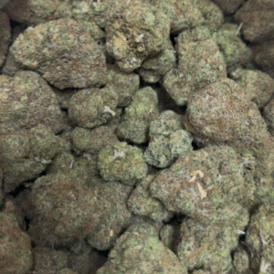 WCG (NEW BATCH)
